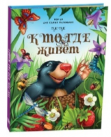 Тук-тук. Кто где живет (книжка-панорамка) 9785001340256