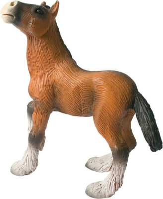 /