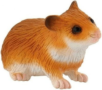 /
